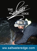 The Saltwater Edge