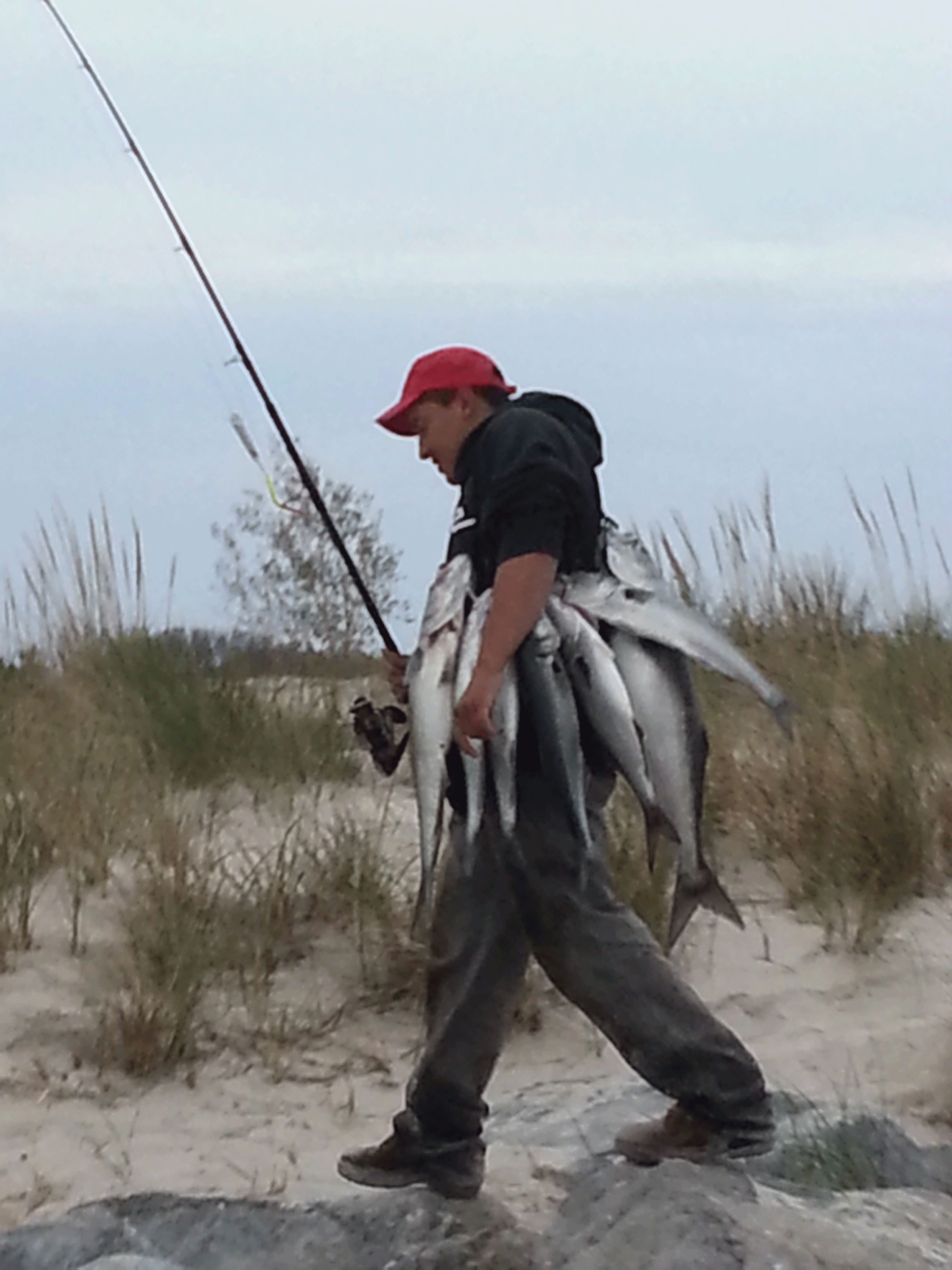 New issue is up and a Guides Choice lures giveaway Surfcaster's Journal