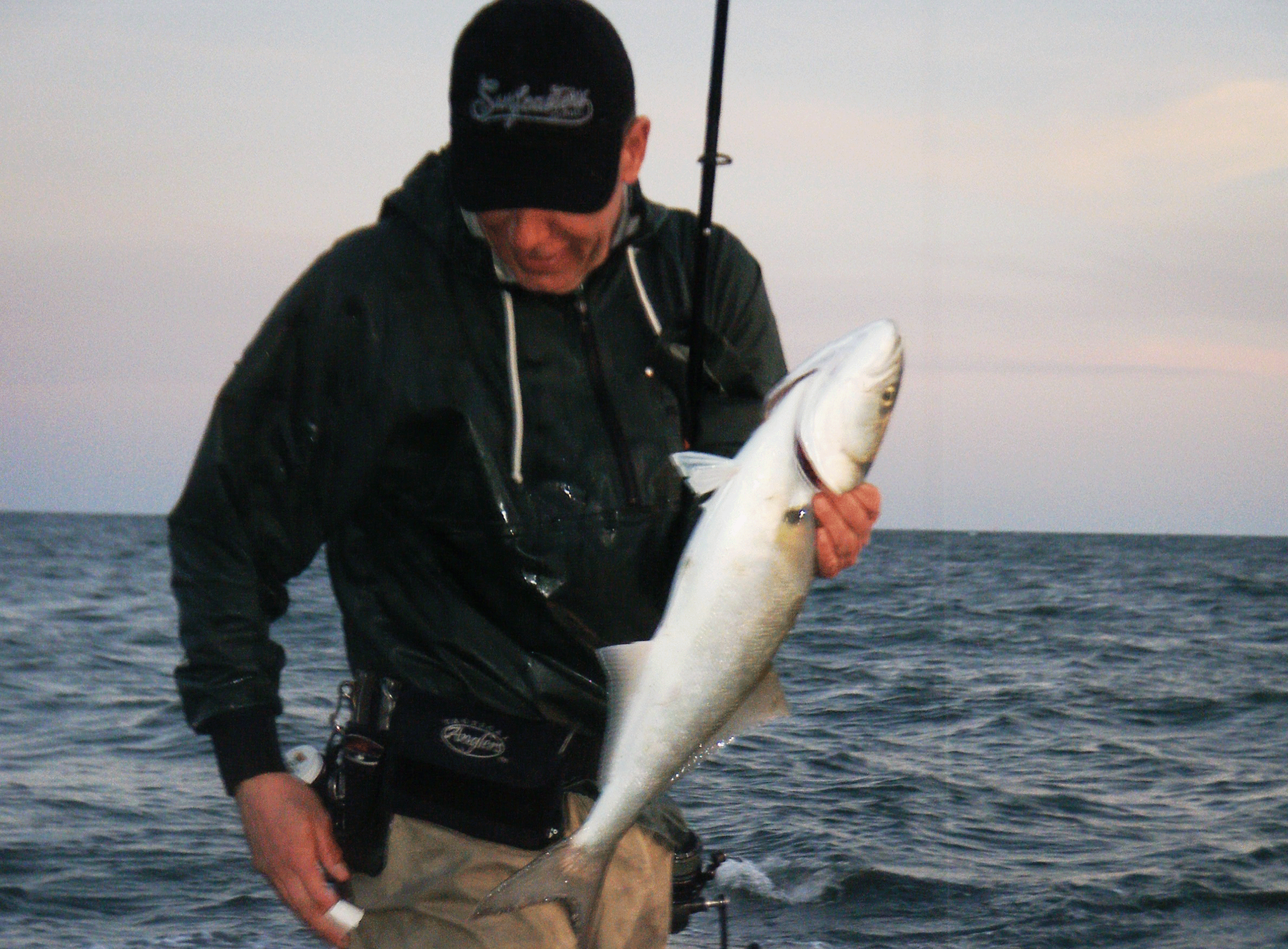 Few Of My Favorite Things Tsunami Airwave Elite Rods